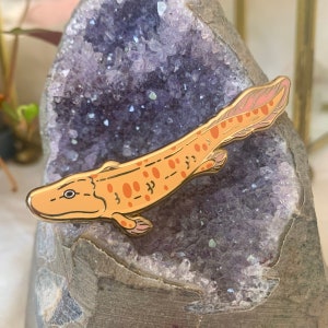May include: A gold-coloured enamel pin in the shape of a fish, with orange spots and details. The pin is set against a backdrop of a purple crystal geode. The fish pin is a unique accessory.