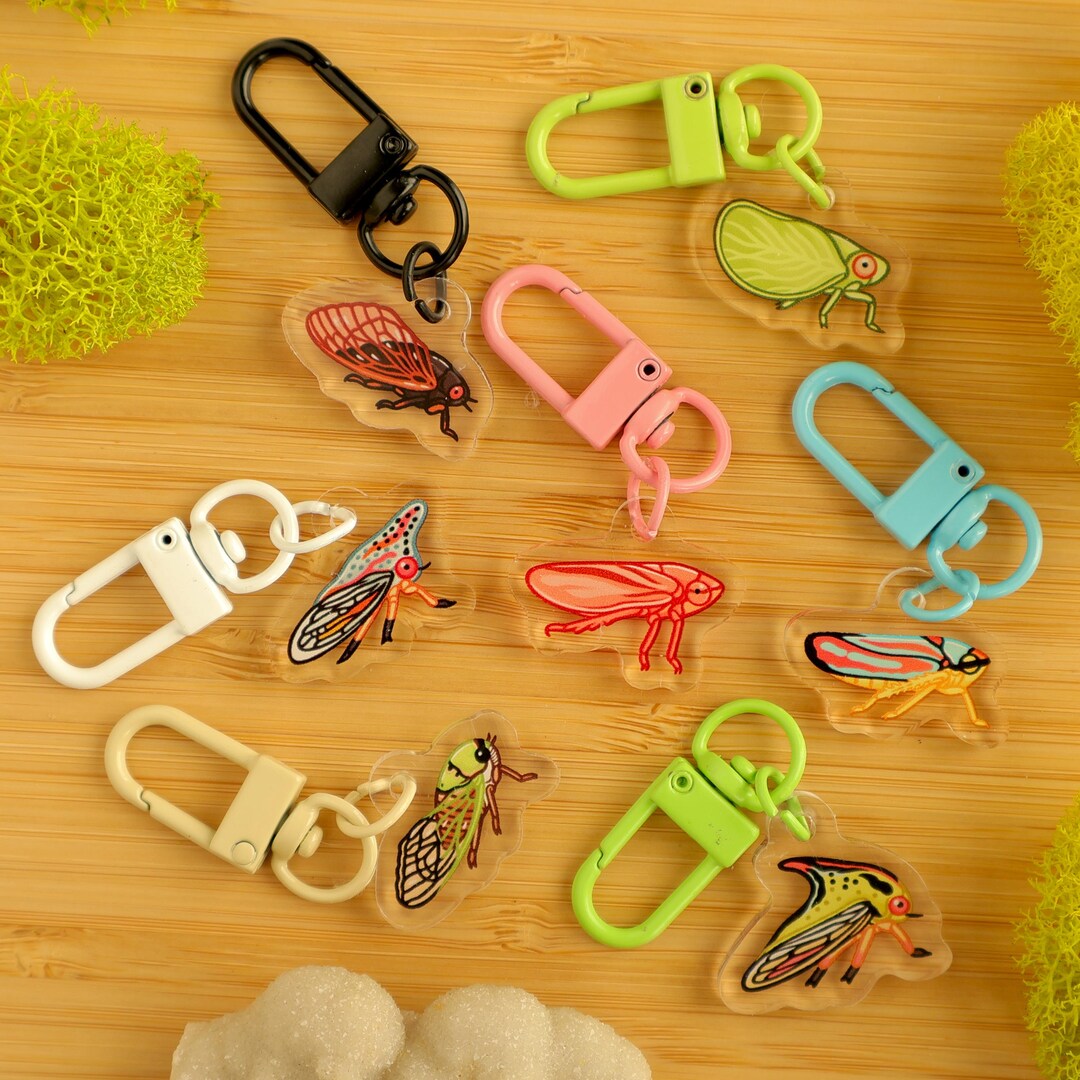 Mini Bug Acrylic Keychain FULL SET / Entomology / Entomologist / Insect ...