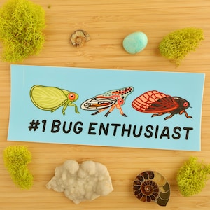 Number 1 Bug Enthusiast BUMPER Sticker / Car Sticker / Entomology / Entomologist / Bug Lover / Insect Sticker