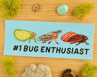 Number 1 Bug Enthusiast BUMPER Sticker / Car Sticker / Entomology / Entomologist / Bug Lover / Insect Sticker