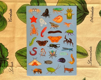 Invertebrates (Invertober) Sticker Sheet