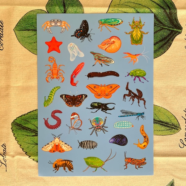 Invertebrates (Invertober) Sticker Sheet