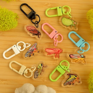 Mystery Mini Bug Acrylic Keychain / Insect Charm / Accessory