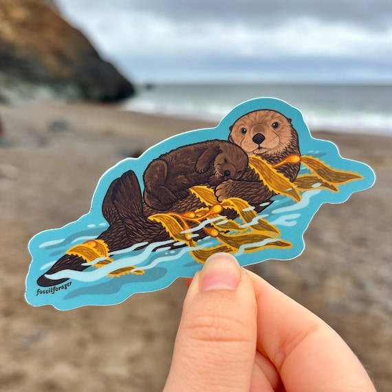 Sea Otter Sticker / Marine Biology / Sea Creature / Coastal / Vinyl Sticker / Laptop Sticker / Ecology