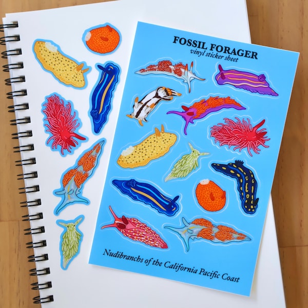 Nudibranchs of the California Coast Sticker Sheet / Marine Biology / Sea Creature / Coastal / Vinyl Sticker / Laptop Sticker / Ecology