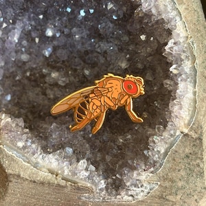 May include: A gold-colored enamel pin in the shape of a fly. The fly has orange and brown details, with a red eye. The pin is set against a background of a geode.