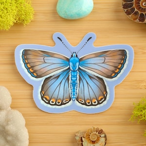 May include: A blue butterfly sticker with brown and orange markings on its wings. The butterfly is on a light blue background.