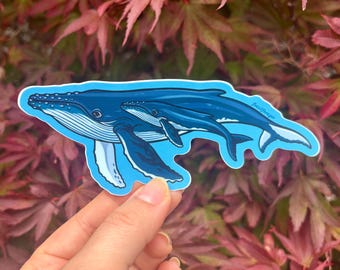 Humpback Whale & Calf Sticker / Marine Biology / Coast / Vinyl Sticker / Laptop Sticker / Ecology
