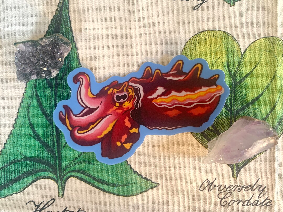 Vaporwave Flamboyant Cuttlefish Sticker - Etsy