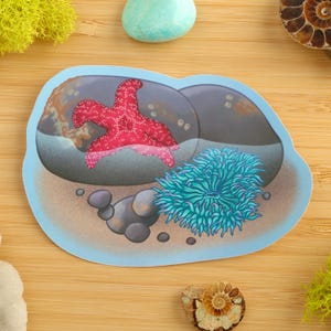 May include: A sticker featuring a red starfish and a blue sea anemone on a gray rock with a brown sandy background.