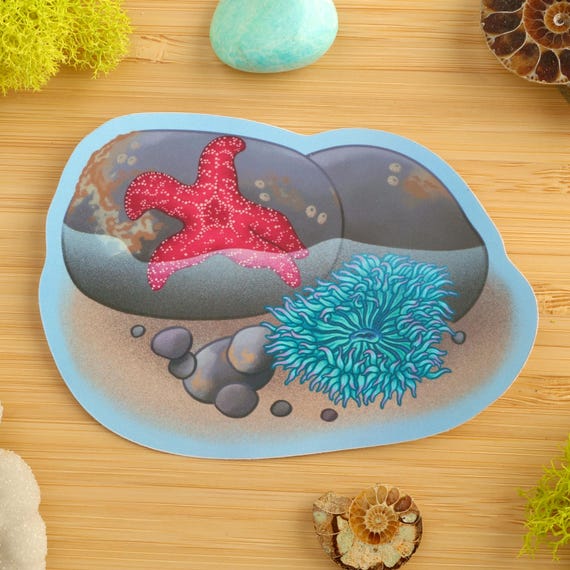 Vaporwave Tidepool Sticker / Marine Biology / Sea Star / Anemone / Ecology / Vinyl Sticker / Shiny Sticker