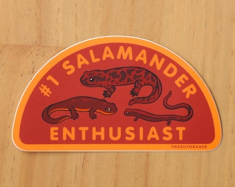 Op de afbeelding: Een sticker met een rode achtergrond en een oranje rand. De sticker toont drie salamander illustraties en de woorden "#1 Salamander Enthusiast". De tekst "FOSSILFORAGER" staat onderaan.