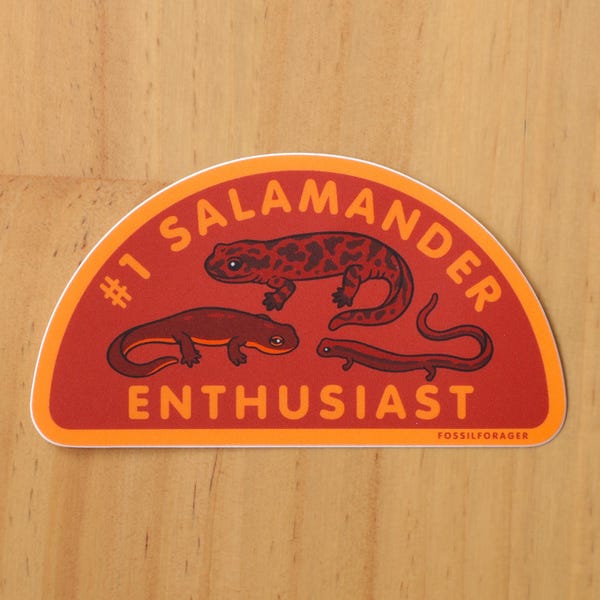 Number One Salamander Enthusiast Sticker / Herpetology / Ecology / Biology / Vinyl Sticker / Laptop Sticker