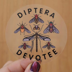 May include: A clear sticker featuring illustrations of various insects, including flies and bees, arranged around a central insect. The sticker has the words "DIPTERA DEVOTEE" in a bold, black font, with the word "FOSSILFORAGER" printed vertically.