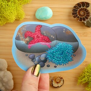 May include: A sticker featuring a pink starfish and a blue sea anemone on a bed of rocks. The sticker is on a light blue background with a sandy bottom.
