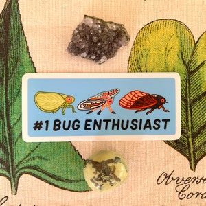 Number 1 Bug Enthusiast Sticker