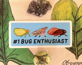 Number 1 Bug Enthusiast Sticker