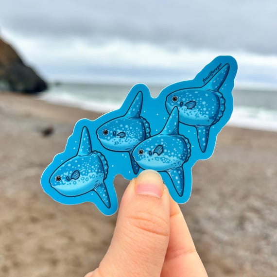 Ocean Sunfish Sticker / Mola Mola / Marine Biology / Sea Creature / Coastal / Vinyl Sticker / Laptop Sticker / Ecology