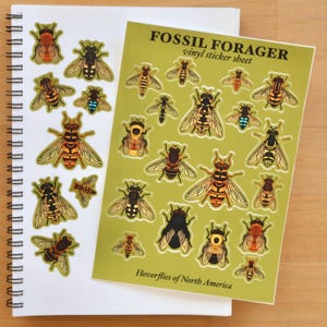 May include: A spiral-bound notebook and a green vinyl sticker sheet featuring various insect illustrations. The sticker sheet reads "FOSSIL FORAGER" and "Hoverflies of North America." The insects are in shades of yellow, black, orange, and blue.