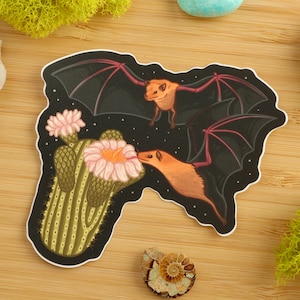Long-nosed Bat Sticker / Saguaro Cactus / Ecology / Vinyl Sticker
