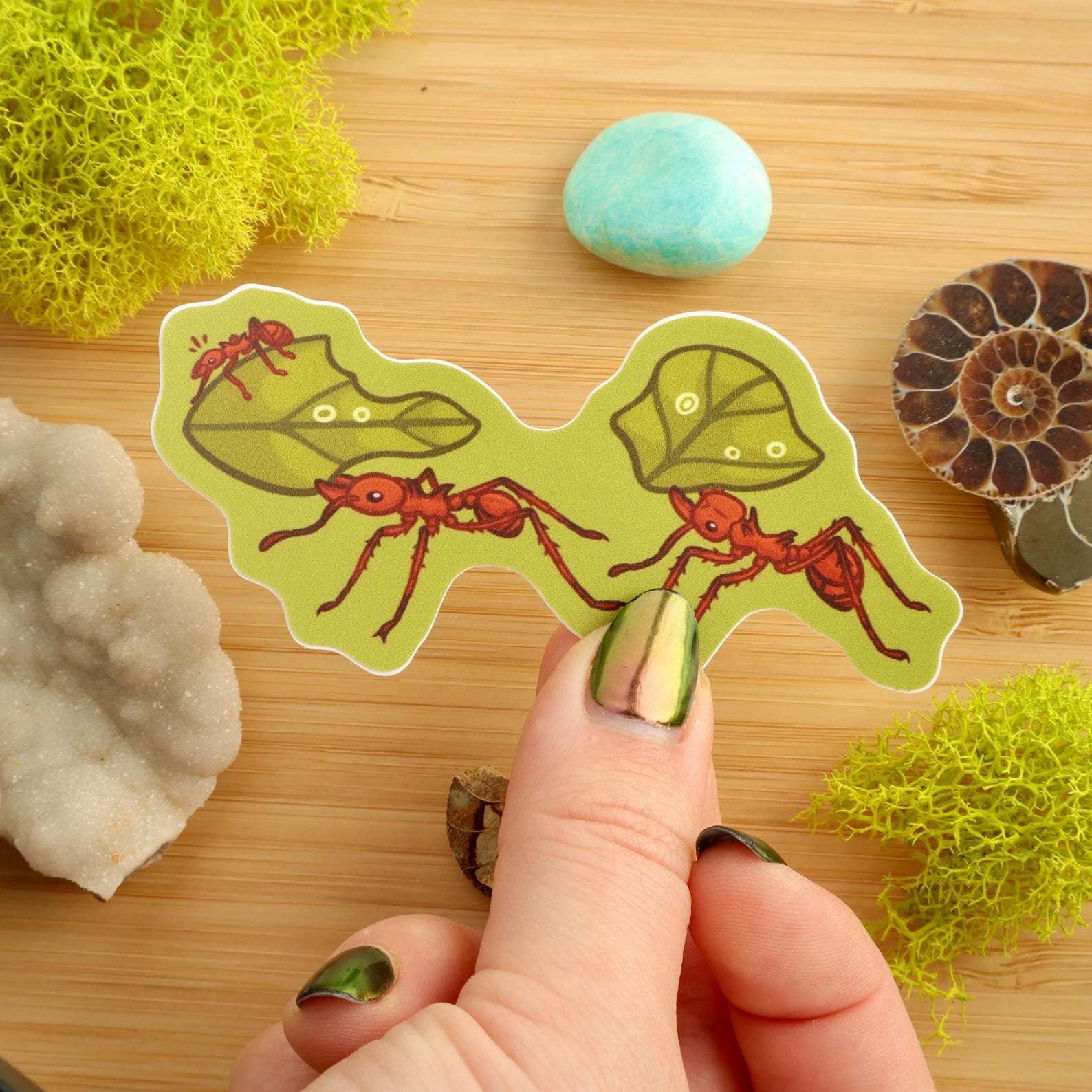 Leafcutter Ants Sticker / Entomology / Entomologist / Vinyl Sticker ...