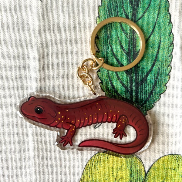 Arboreal Salamander Keychain