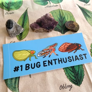 Number 1 Bug Enthusiast Bumper Sticker