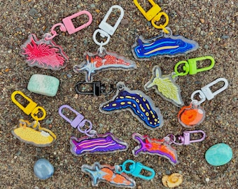 Mini porte-clé acrylique limace de mer mystérieuse / breloque nudibranche / accessoire