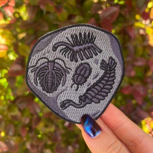 May include: A gray embroidered patch featuring several prehistoric arthropods. The patch has a dark gray border and a textured background. The arthropods are in shades of gray and black, with detailed stitching. The patch is held against a background of green and red leaves.