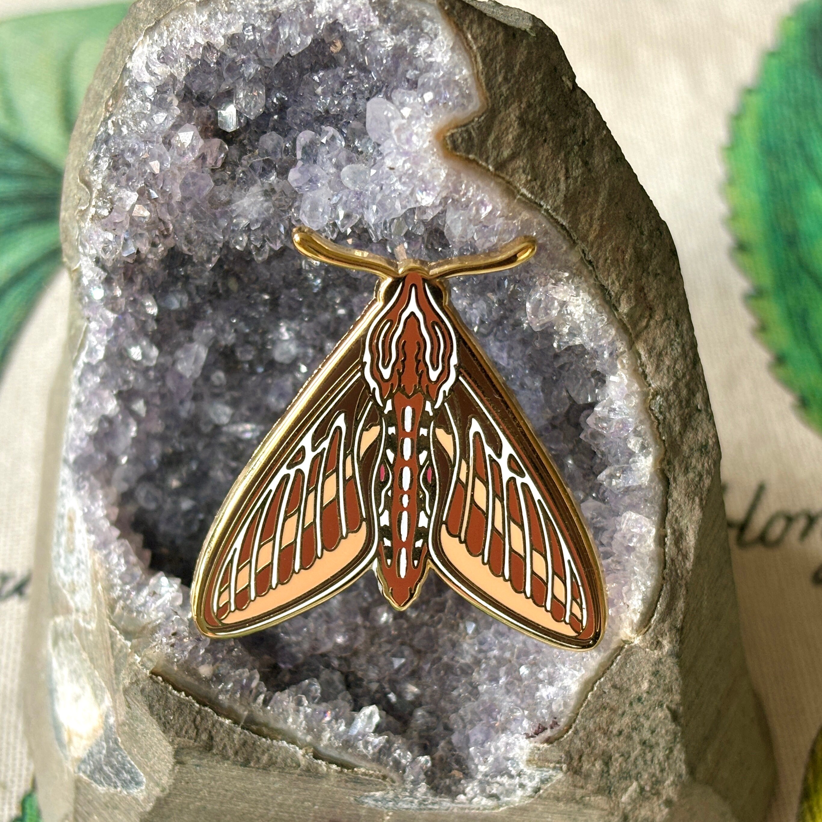 Sphinx Moth Pin White-lined Sphinx Moth Enamel Pin / Entomology / Insect Pin / Nature ...