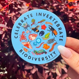 May include: A circular, pale blue sticker featuring the words "CELEBRATE INVERTEBRATE BIODIVERSITY" and illustrations of various insects and invertebrates. The sticker is held against a backdrop of red foliage.