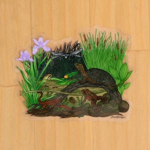 May include: A clear sticker featuring a detailed pond ecosystem illustration. It depicts a turtle on a log, a dragonfly, a brown frog, a salamander, purple iris flowers, cattails, and aquatic plants. The text fossilforager is printed in the corner.