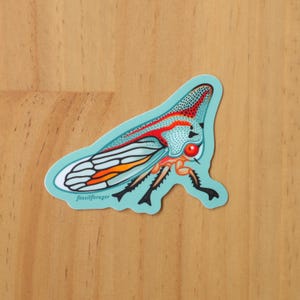 May include: A colorful sticker featuring a stylized insect illustration. The insect has a light blue body with red and orange accents, black legs, and a large red eye. The text "fossilforager" is printed on the bottom left.