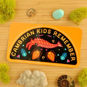 Cambrian Kids Remember BUMPER Sticker / Car Sticker / Paleontology / Cambrian Period / Anomalocaris / Trilobites / Vinyl Sticker