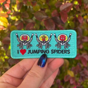 Peut inclure: Un écusson rectangulaire turquoise avec le texte "I ❤️ JUMPING SPIDERS" et trois dessins de saltiques. Les araignées ont des corps gris, des yeux blancs et des motifs colorés sur la tête. Un cœur rouge est à côté du "I".