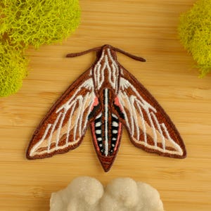 White-lined Sphinx Moth Iron-On Patch / Entomologist / Entomology / Insect Patch / Embroidered Patch
