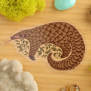 Pangolin Clear Vinyl Sticker / Mammal / Animal Decal