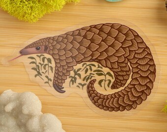 Pangolin Clear Vinyl Sticker / Mammal / Animal Decal