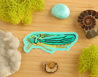 Blue-Green Leafhopper Sticker / Insect Sticker / Entomologist / Entomology / Vinyl Sticker