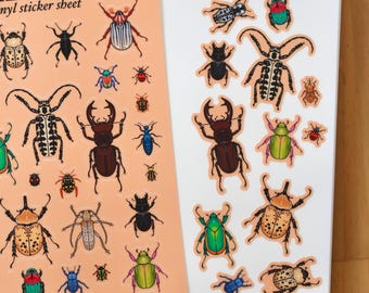 North American Beetles Sticker Sheet  / Insect Stickers / Entomologist / Entomology / Vinyl Stickers