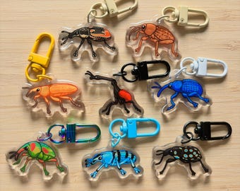 Mystery Mini Weevil Acrylic Keychain / Insect Charm / Accessory