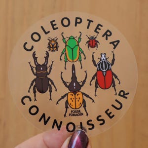 May include: A circular sticker with illustrations of beetles in various colours. The sticker has the words "COLEOPTERA CONNOISSEUR" in a circular pattern. The text "FOSSIL FORAGER" is also included on the sticker.