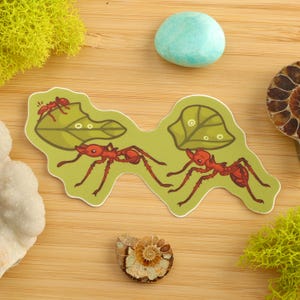 Leafcutter Ants Sticker / Entomology / Entomologist / Vinyl Sticker / Laptop Sticker / Ecology