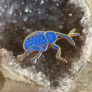 May include: A blue insect pin with gold-colored trim. The pin features a detailed design of a weevil beetle with a long snout and curved legs. The insect pin is set against a background of a geode.