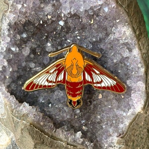 Hummingbird Clearwing Moth Enamel Pin / Entomology / Insect Pin / Nature / Cute Moth Pin