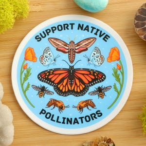 Autocollant de soutien aux pollinisateurs indigènes/entomologie/Sauver les abeilles/bourdon/papillon monarque/autocollant en vinyle/autocollant pour ordinateur portable/écologie