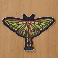 Luna Moth Die-cut Stickers, Vinyl Sticker, Nocturnal Moon Moth Sticker ...