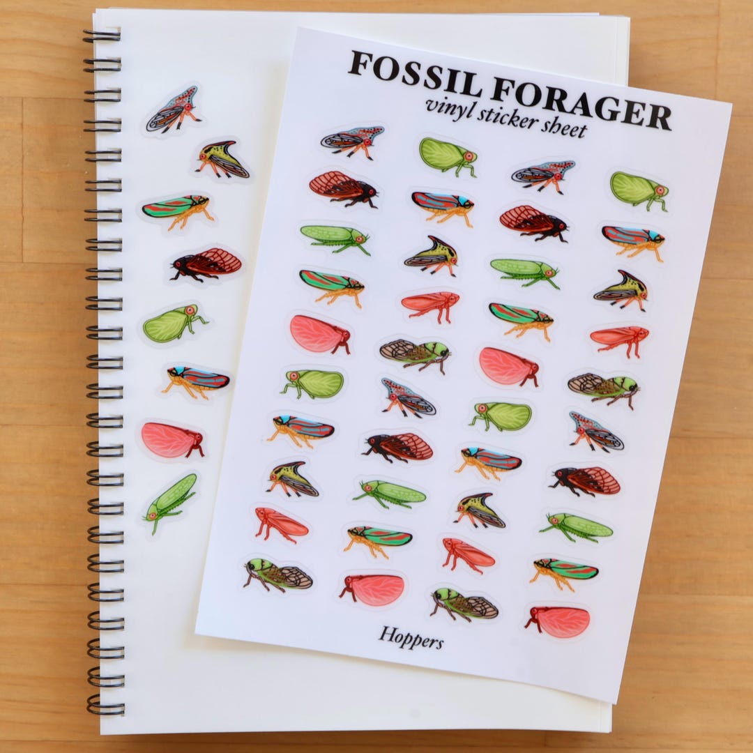 Printable Insect Sticker Sheet Hoppers Clear Vinyl Sticker Sheet / Insect Stickers / Entomologist ...