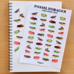 Hoppers Clear Vinyl Sticker Sheet  / Insect Stickers / Entomologist / Entomology / Bug Stickers