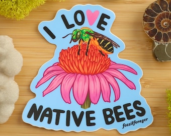 Pegatina «Amo a las abejas nativas» / Entomología / Salvemos a las abejas / Abeja del sudor / Flor silvestre / Pegatina de vinilo / Pegatina para portátil / Ecología